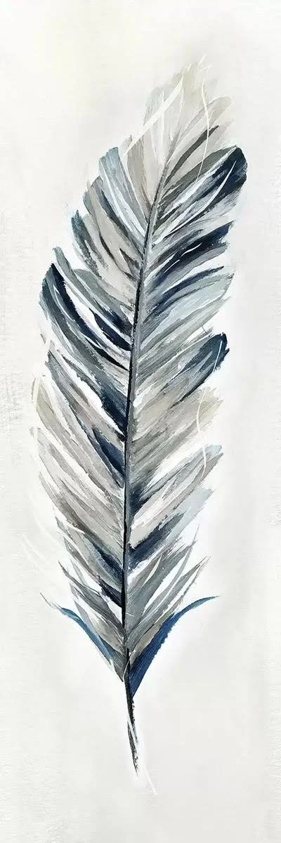 Nan Canvas Wall Art Print - Soft Feather I ( Decorative Elements > Feathers art)