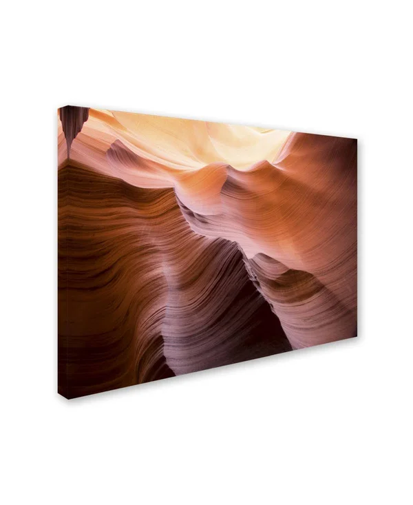 Trademark Global Moises Levy 'Smooth II' Canvas Art