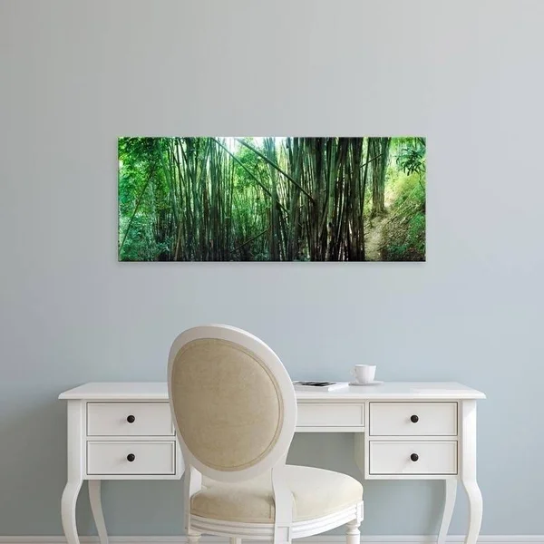 Easy Art Prints Panoramic Images's 'Bamboo Forest - Chiang Mai, Thailand' Premium Canvas Art - 14 x 35 - Stretched Canvas
