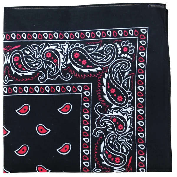 Set of 250 Qraftsy Paisley 100% Cotton Double Sided Bandanas - Bulk Lot