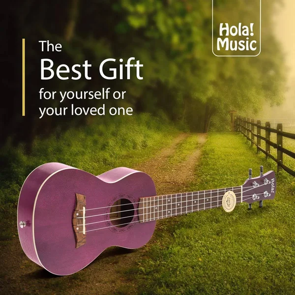 Concert Ukulele Bundle - Deluxe Series by Hola! Music (Model Hm-124pp+), Bundle Includes: 24 inch Mahogany Ukulele with Aquila Ny