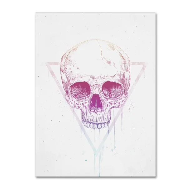 Trademark Fine Art Skull in Triangle Canvas Art by Balazs Solti - Size: 18 x 24