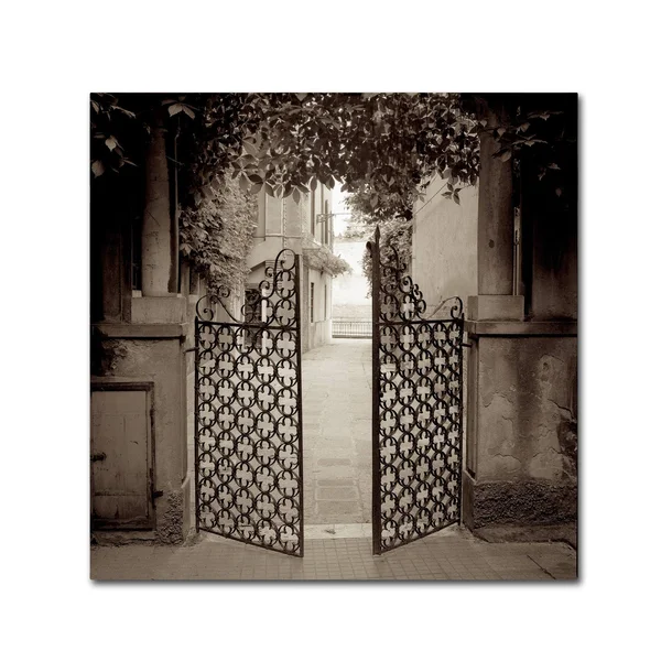 Trademark Art Alan Blaustein 'Venezia V' Canvas Art