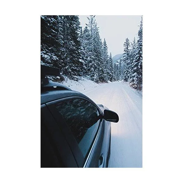 Cooper Evolution Winter 205/60R15 91T Tire