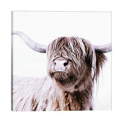 Highland Cattle Frida I Giclee Canvas Art Print