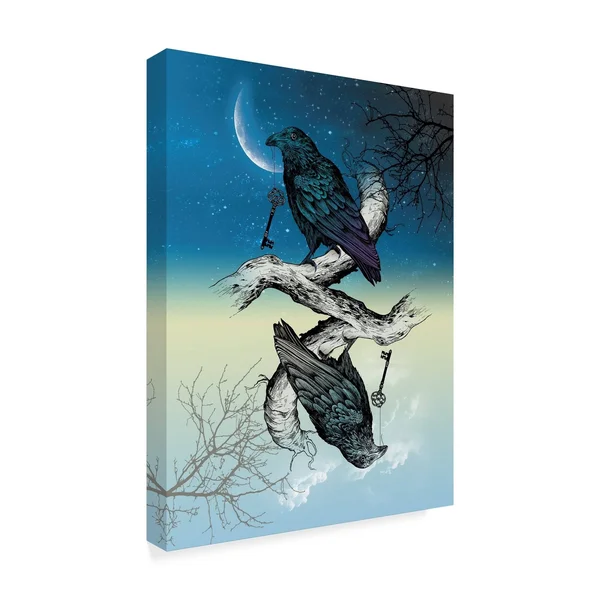 Trademark Fine Art 'Raven Night and Day' Canvas Art by Rachel Caldwell, Size: 35 x 47