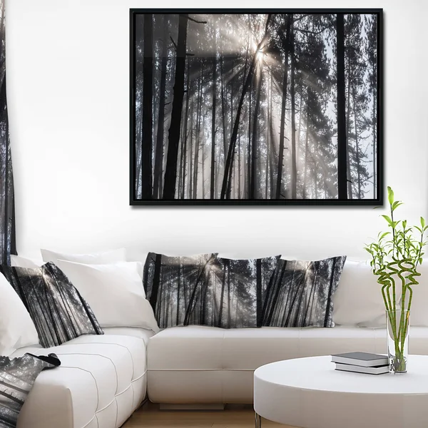 Designart 'Sunbeams Through Black White Forest' Forest Framed Canvas Wall Art Print - 20 in. Wide x 12 in. High - Gold