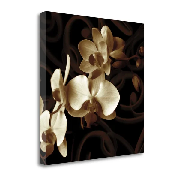 Grace by ILY Szilagyi Fine Art Giclee Print on Gallery Wrap Canvas