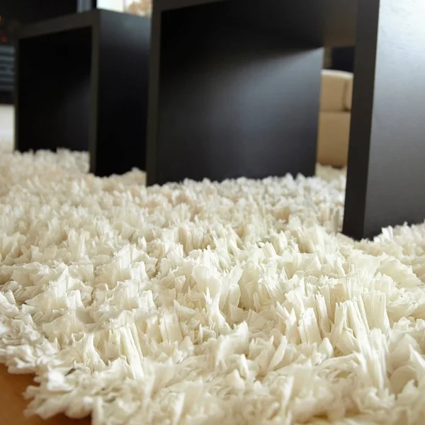 Anji Mountain 5& x 8& Creme Paper Shag Rug