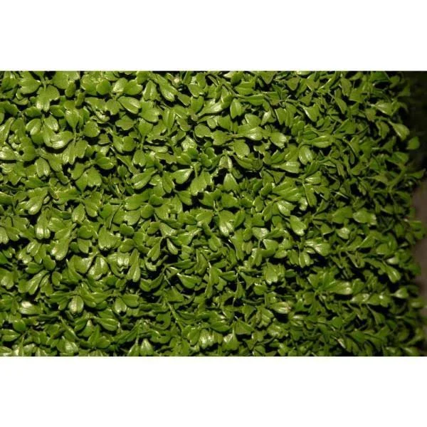 National Tree 22x22 Mini Boxwood Ball with Green Pot