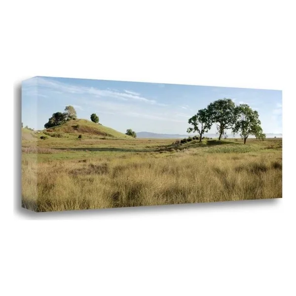 12x22 x 34x22 Oak Tree - 83 by Alan Blaustein Fine Art Giclee Print
