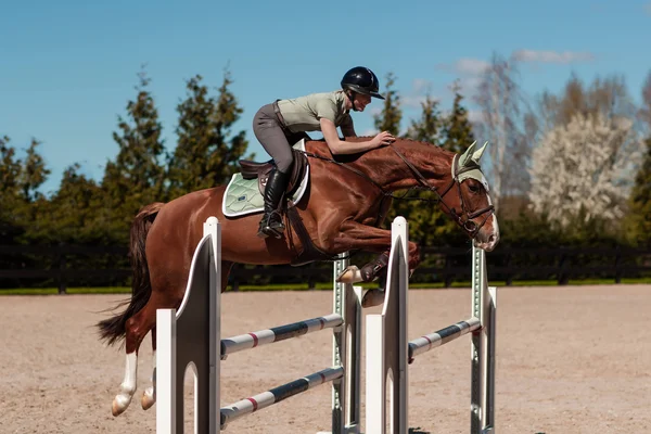 Equestrian Stockholm Premium Jump Saddle Pad - Pistachio/White