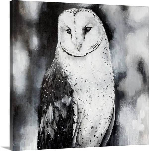 White Owl - Canvas Wall Art, 20x20, Great Big Canvas