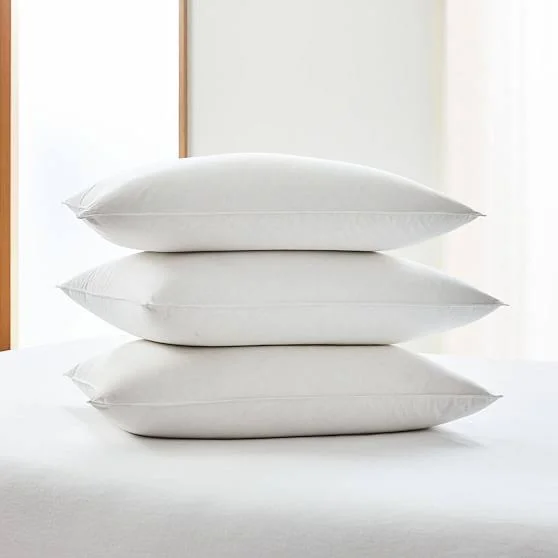 West Elm European Down Pillow Insert, Standard Pillow, Firm