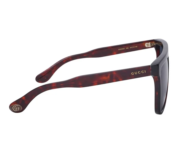Gucci Sunglasses GG0582S 002