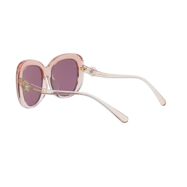 Coach Sunglasses HC8263U 55526G