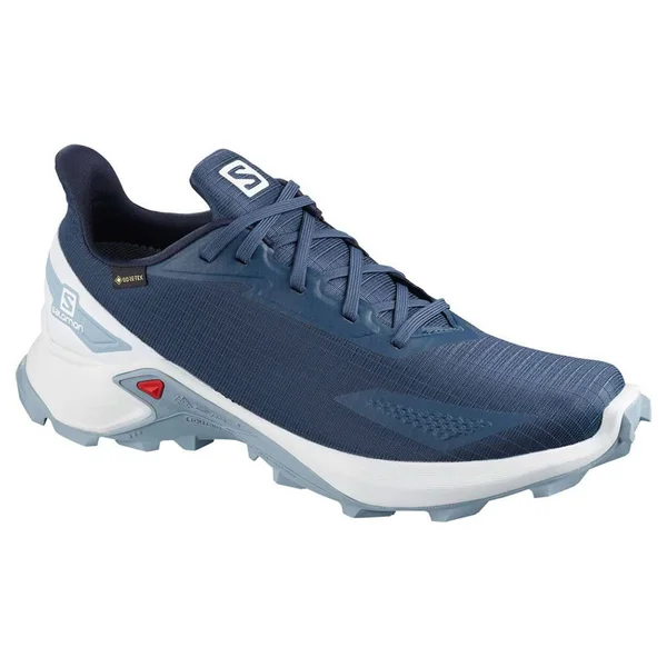 Salomon Alphacross Blast Gore - Tex GTX 411060