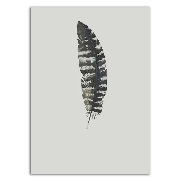 Tangletown Fine Art 21x22 x 15x22 Feather 05 by Incado Print on Canvas