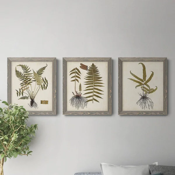 Fern Botanical IV-Premium Framed Canvas - Ready to Hang - Multi-Color - 23.5X31.5 - White