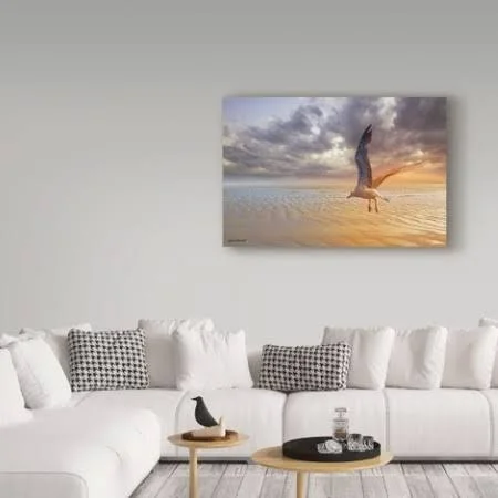 Trademark Fine Art 'Soft Sunrise on The Beach 4' Canvas Art by Carlos Casamayor, Size: 30 x 47