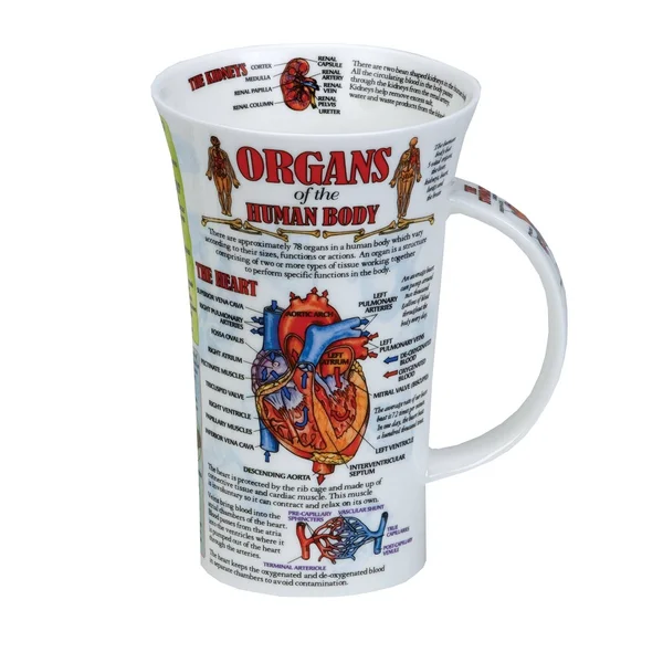Dunoon Glencoe Organs of Human Body Mug