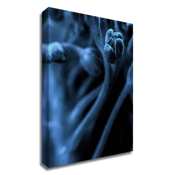 Tangletown Fine Art 19x22 x 14x22 Leaf VIII by Incado Print on Canvas