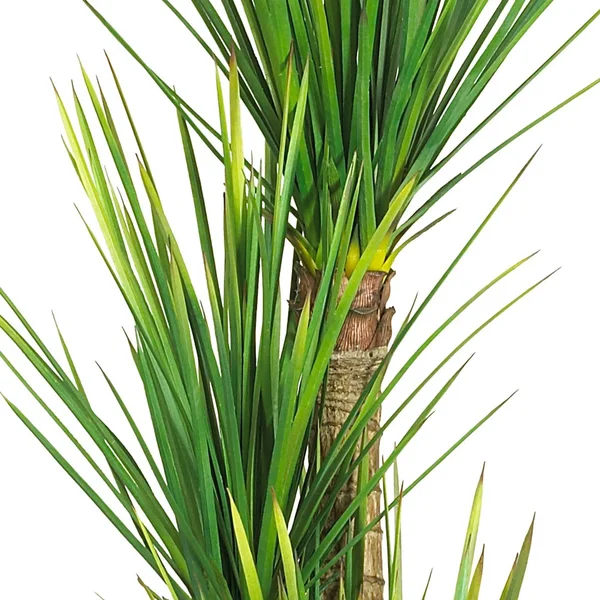 Nearly Natural 58.5in Yucca Silk Tree