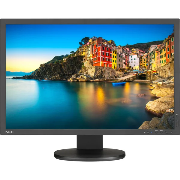 NEC Display P243W-BK LCD Monitor