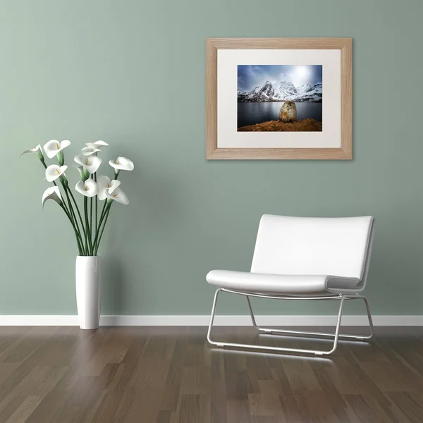 Trademark Fine Art Spaceways Theme by Philippe Sainte-Laudy Matted Framed Photographic Print - Size: 16x22 H x 20x22 W x 0.5x22