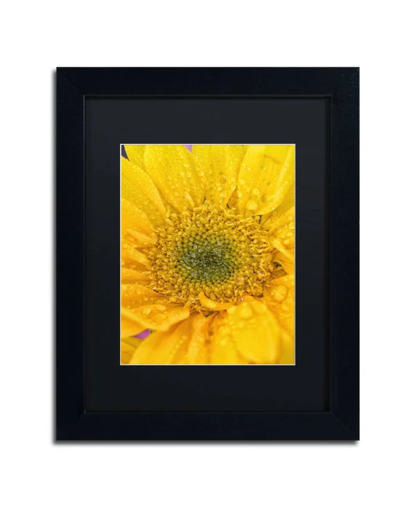 Trademark Fine Art Joyful Color Framed Photographic Print - Size: 14x22 H x 11x22 W x 0.5x22 D - Matte Color: Black