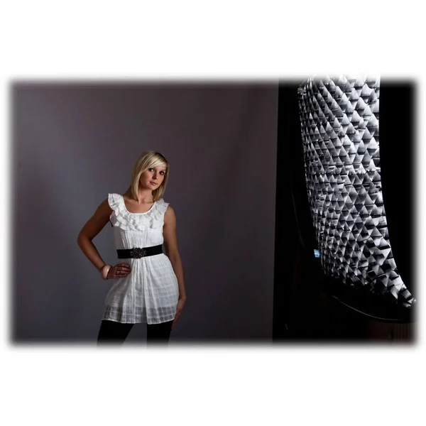 Lastolite Fabric Grid for 24x22 Ezybox Hotshoe LL LS2962