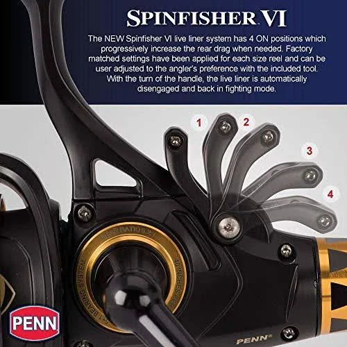 Penn Spinfisher VI Live Liner Combo