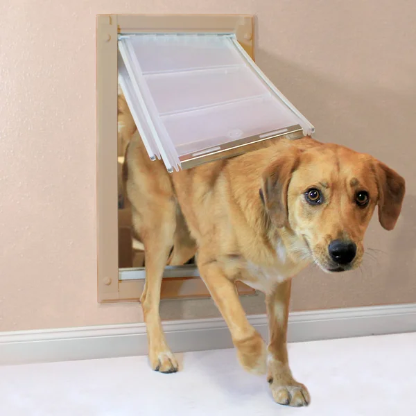 Endura Flap Wall Mount Pet Door Small, Double Flap, Tan
