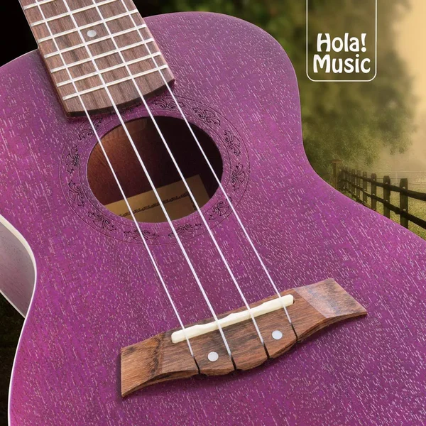 Concert Ukulele Bundle - Deluxe Series by Hola! Music (Model Hm-124pp+), Bundle Includes: 24 inch Mahogany Ukulele with Aquila Ny