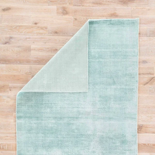 Lizette Handmade Solid Aqua Area Rug - 2& x 3&