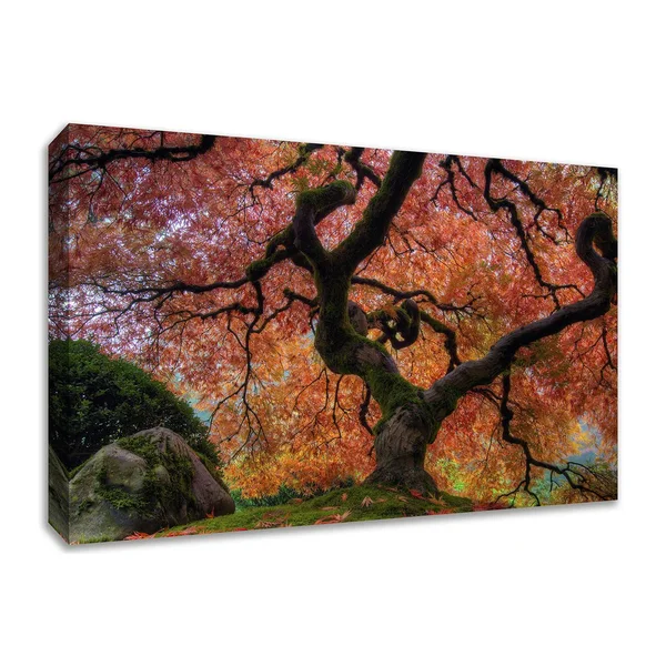 Japanese Maple in Autumn - 30x22 x 45x22 Fine Art Giclee Print on Gallery Wrap