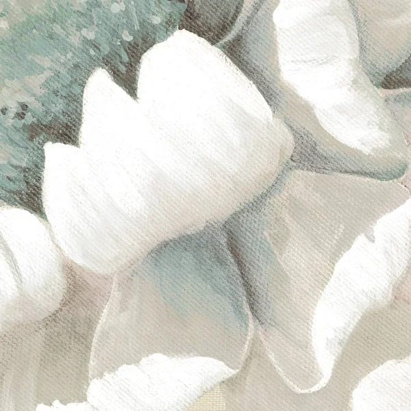 Winter Blooms II by Carol Robinson Canvas Art