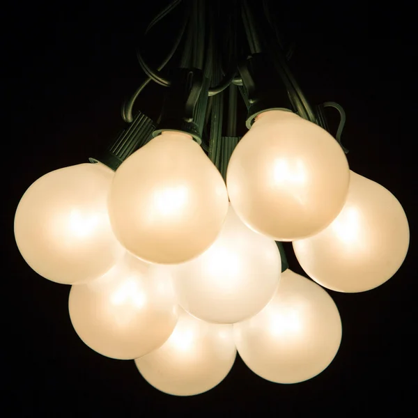 Hometown Evolution - Inc. 50 ft. 50-Light Globe String Lights Green