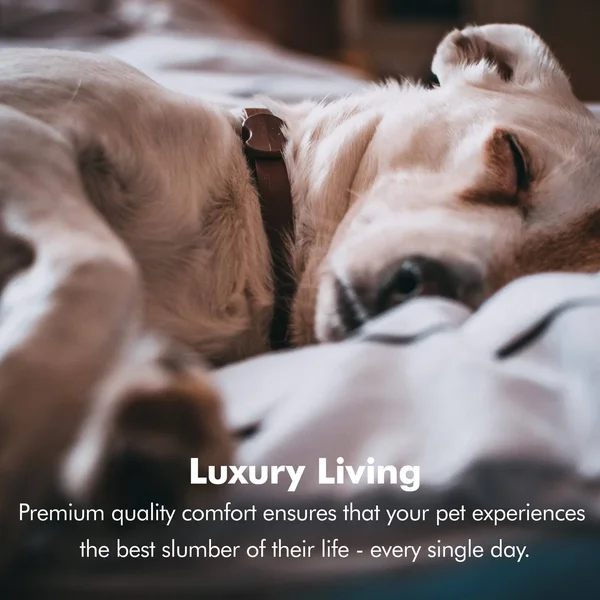 Friends Forever Orthopedic Memory Foam Dog Bed Sofa
