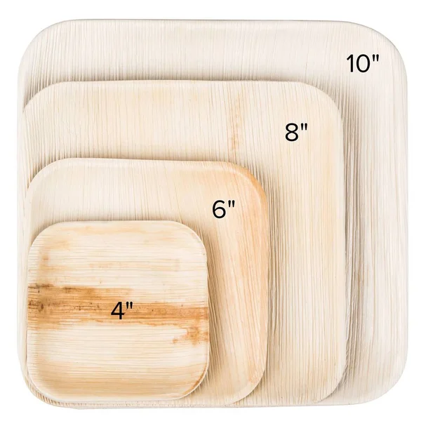 Eco-gecko 4x22 Square Palm Leaf Plate - 200-ct Case