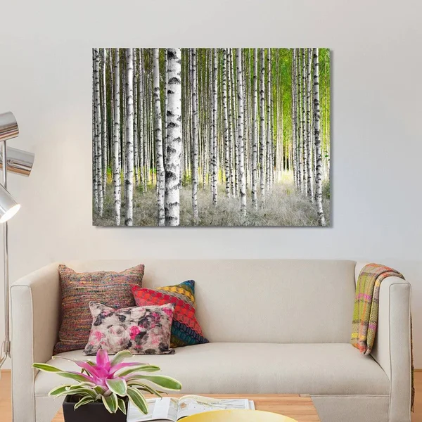 Picture Perfect International Birch Trees 1x22 Giclee Print Canvas Wall Art, 24 Inches x 36 Inches x 1.5 Inches
