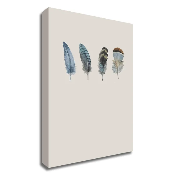 Tangletown Fine Art 21x22 x 15x22 Feather 11 by Incado Print on Canvas