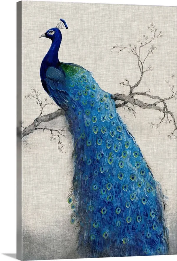 Peacock Blue II - Canvas Wall Art, 40x60, Great Big Canvas