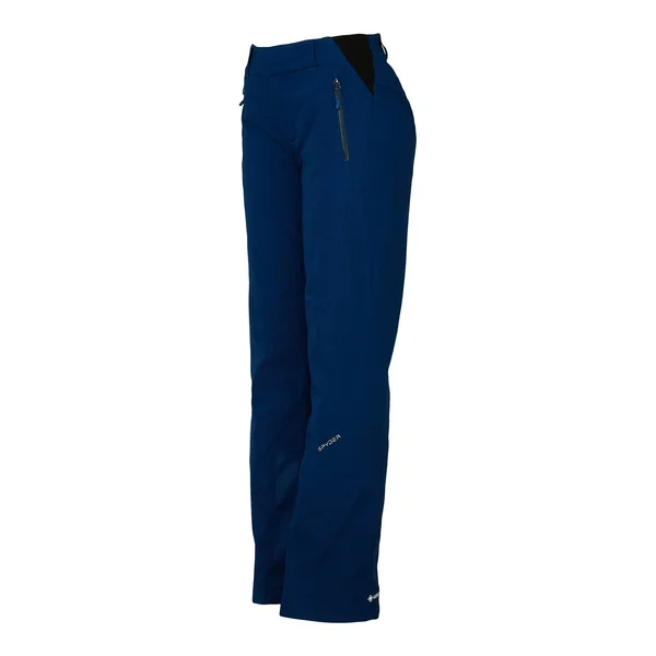 Spyder Winner Gore-Tex Pant - Women's Wish, 10/Reg