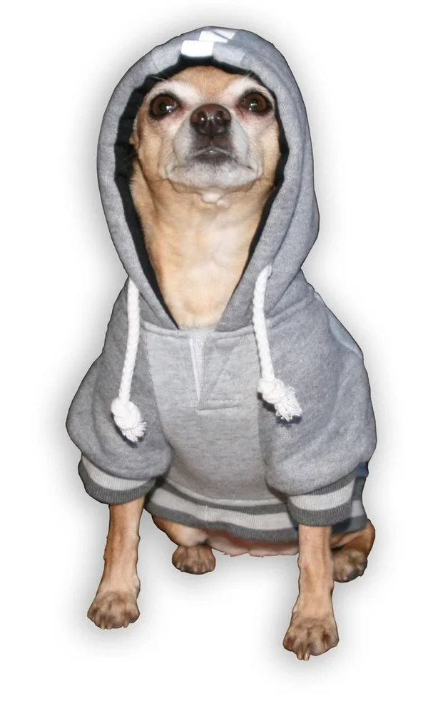 Hip Doggie New England Patriots Dog Hoodie