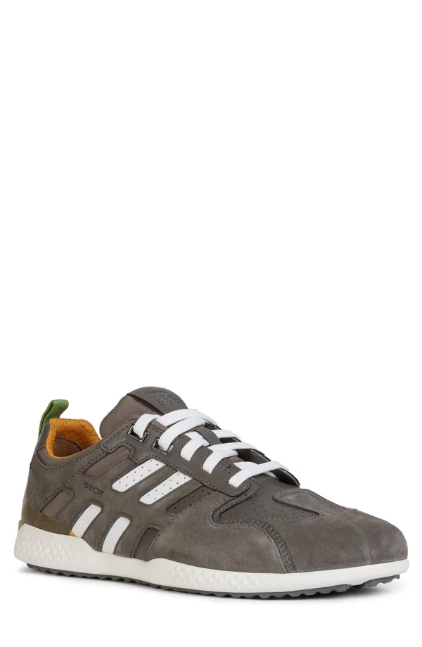 Geox, Sneakers, in Grey, for Men, SNAKE.2, Size: 47