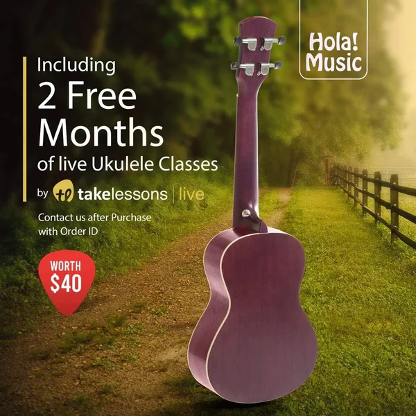 Concert Ukulele Bundle - Deluxe Series by Hola! Music (Model Hm-124pp+), Bundle Includes: 24 inch Mahogany Ukulele with Aquila Ny