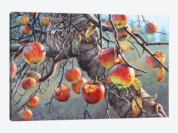 Cynthie Fisher Canvas Prints - Owl and Apples ( Food & Drink > Food > Fruits > Apples art)