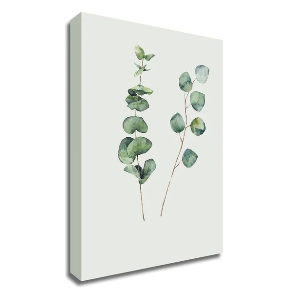 26x22 x 18x22 Botanical I by Incado Print on Canvas