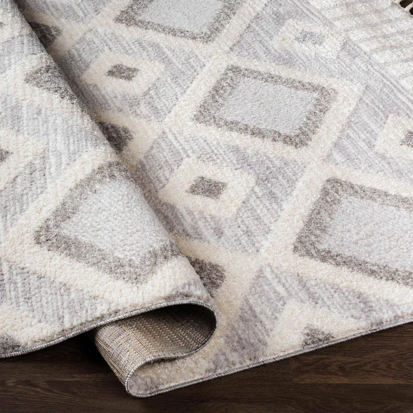 Valencia (Vlc-2312) - 6& 7x22 x 9& Rug